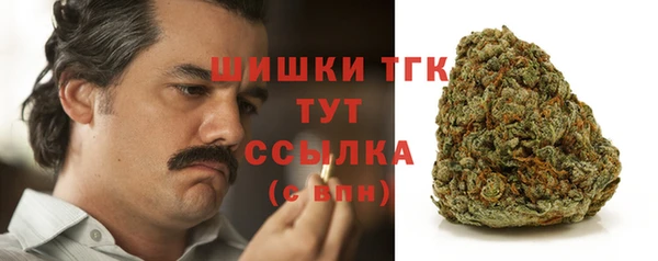 apvp Гусев
