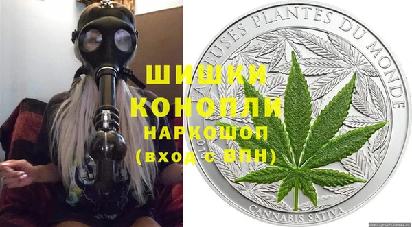 apvp Гусев
