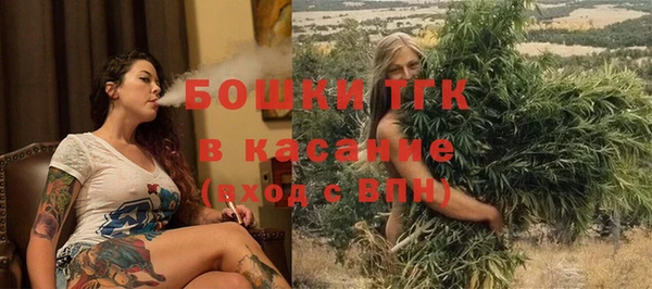 apvp Гусев