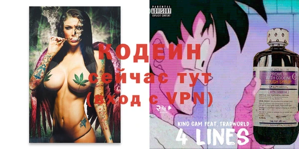 apvp Гусев