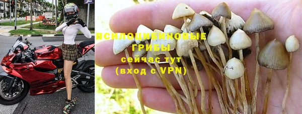 2c-b Чердынь