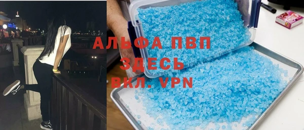 apvp Гусев
