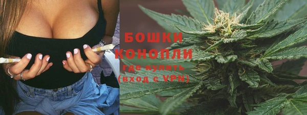 apvp Гусев
