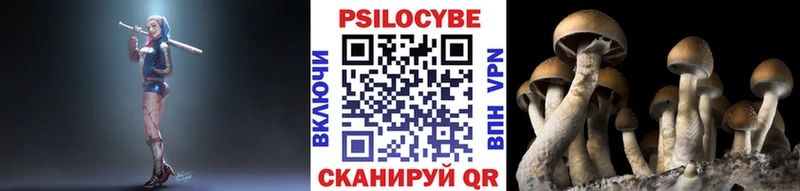 закладка  дарк нет какой сайт  Галлюциногенные грибы ЛСД  Могоча 